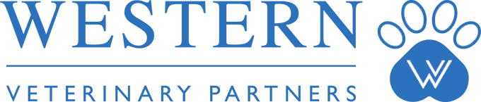 bookkeeping services